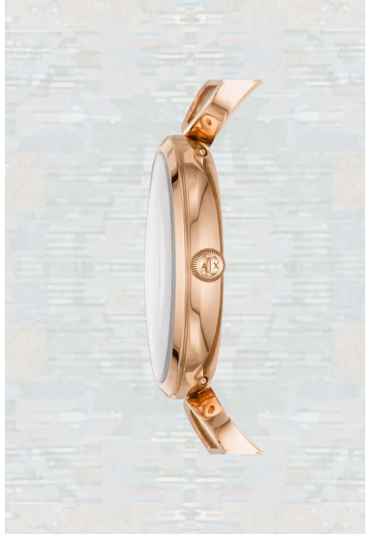 Immediate Armani Exchange Watch For Women AX5329