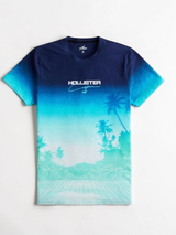 Immediate Hollister T-Shirt
