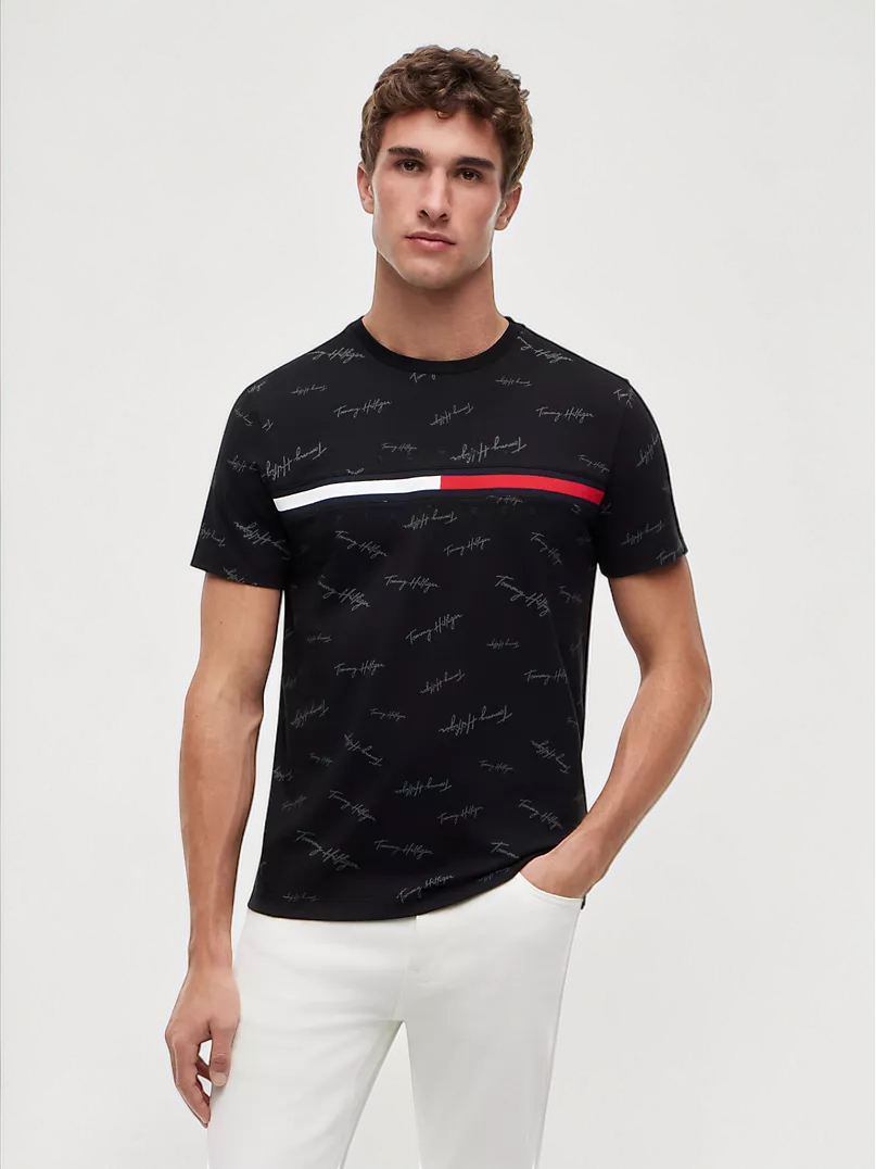 Signature Flag Stripe Logo T-Shirt