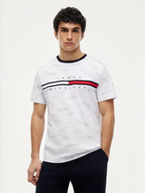 Signature Flag Stripe Logo T-Shirt