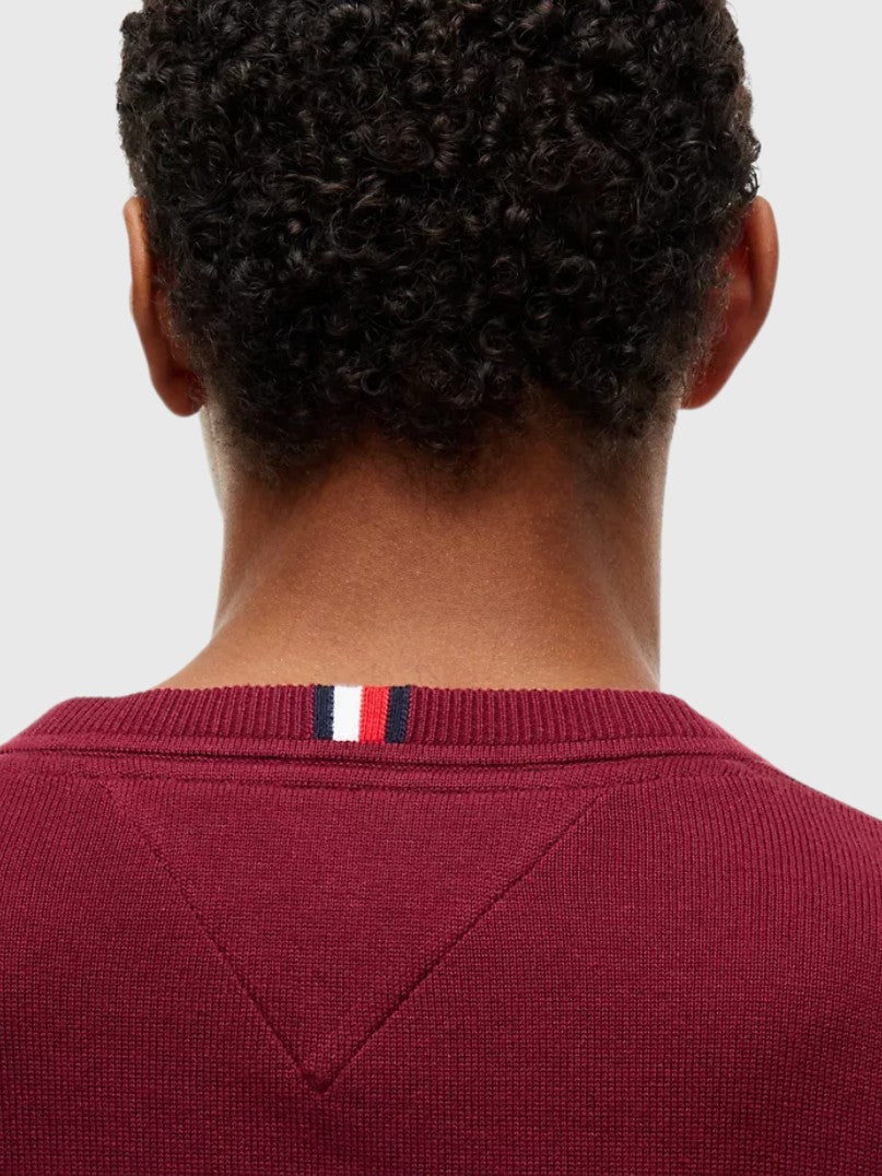TOMMY HILFIGER Solid Logo V-Neck Sweater,78J8323-BDS