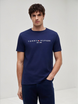 Embroidered Tommy Logo T-Shirt
