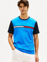 Flag Logo Contrast Sleeve T-Shirt