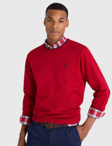 US.POLO.ASSN SOFT COTTON JERSEY CREW NECK SWEATER,USUF6S5243-0000A