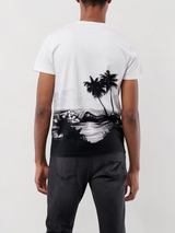 Immediate Hollister T-Shirt