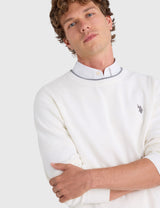 US.POLO.ASSN SOFT COTTON JERSEY CREW NECK SWEATER,USUF6S5243-0000A