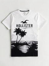 Immediate Hollister T-Shirt