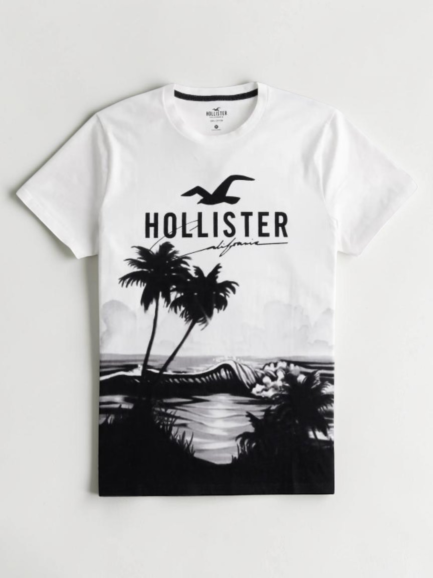 Immediate Hollister T-Shirt