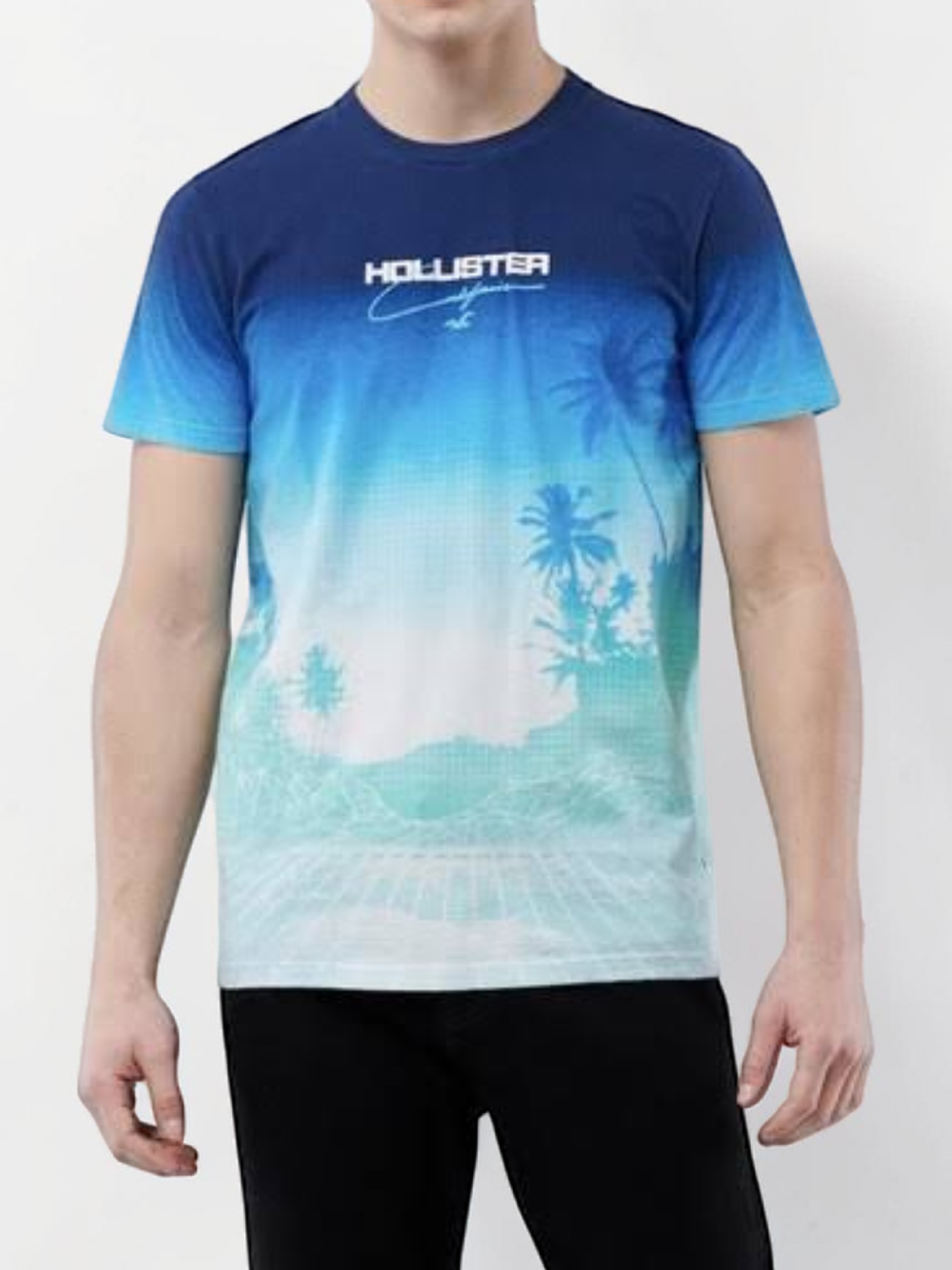 Immediate Hollister T-Shirt