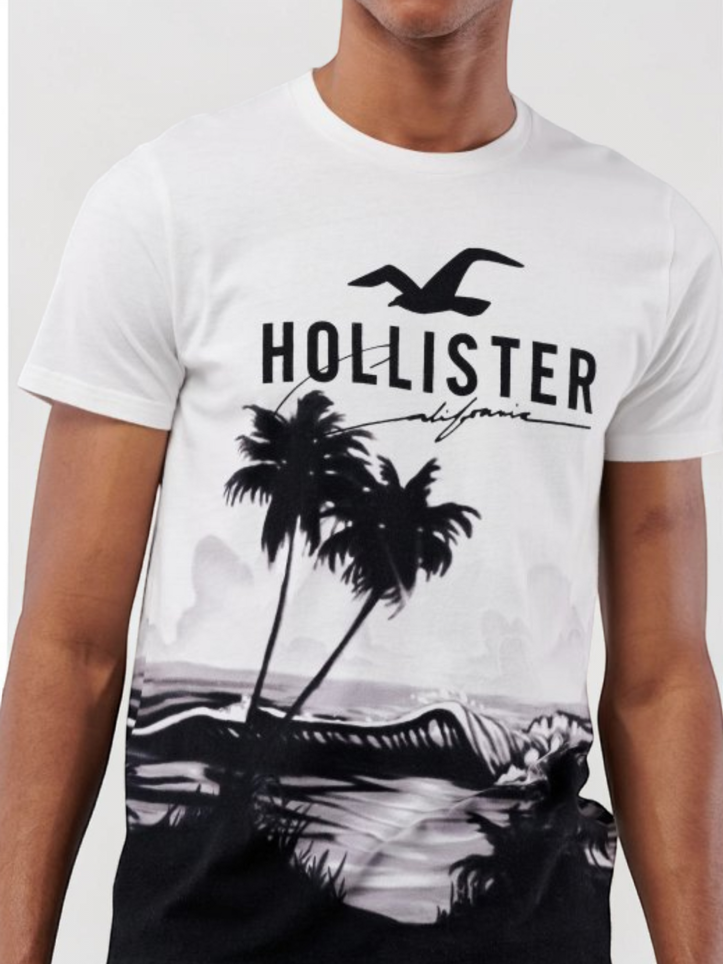 Immediate Hollister T-Shirt